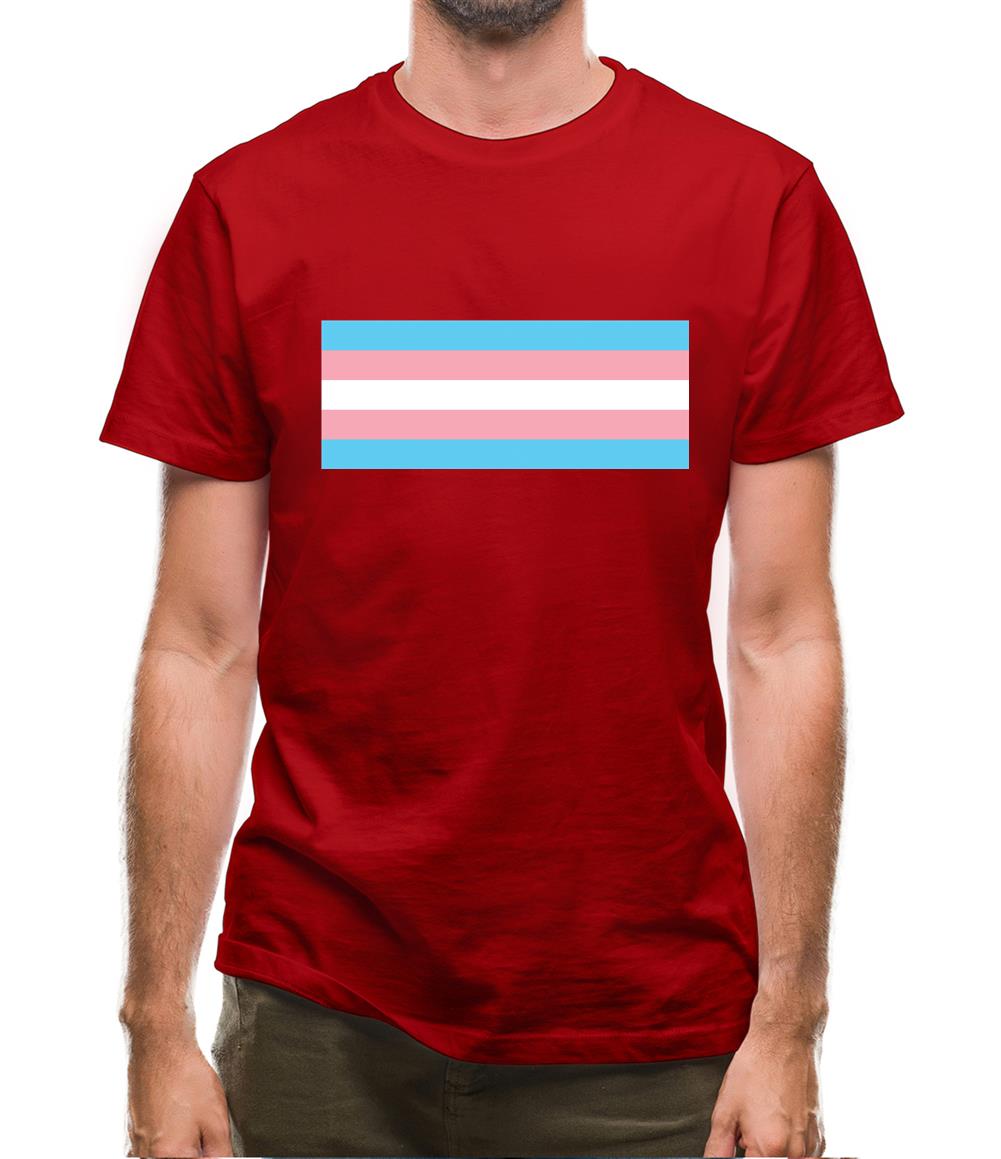 Lgbt Flags Transgender Mens T-Shirt