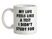 Life Feels Like A Test I Didn't Study For Ceramic Mug