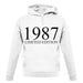 Limited Edition 1987 unisex hoodie