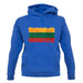 Lithuania Grunge Style Flag unisex hoodie