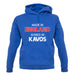 Ruined In Kavos unisex hoodie