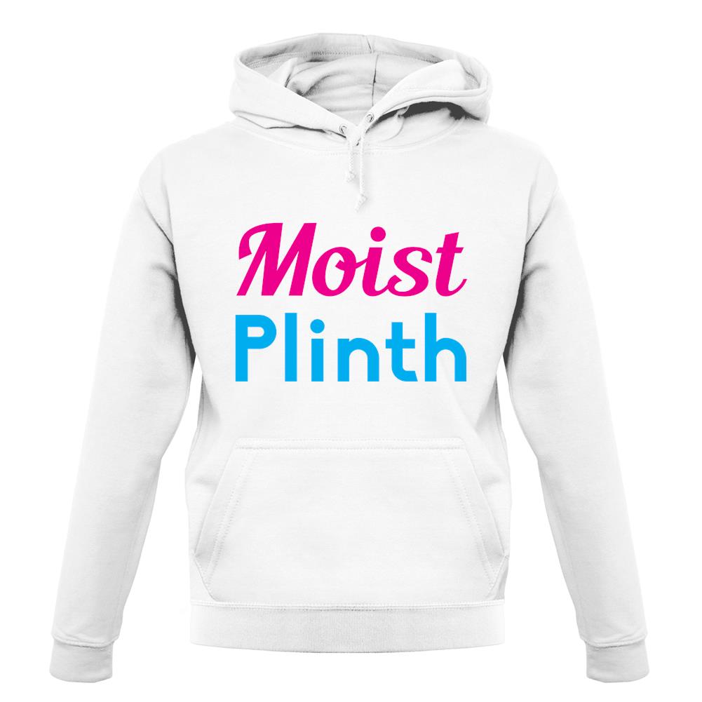 Moist Plinth unisex hoodie