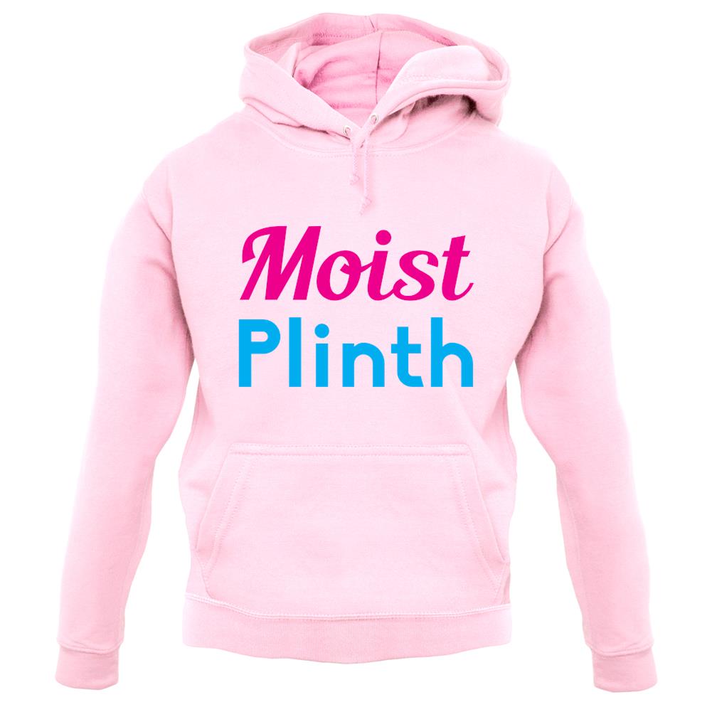 Moist Plinth unisex hoodie
