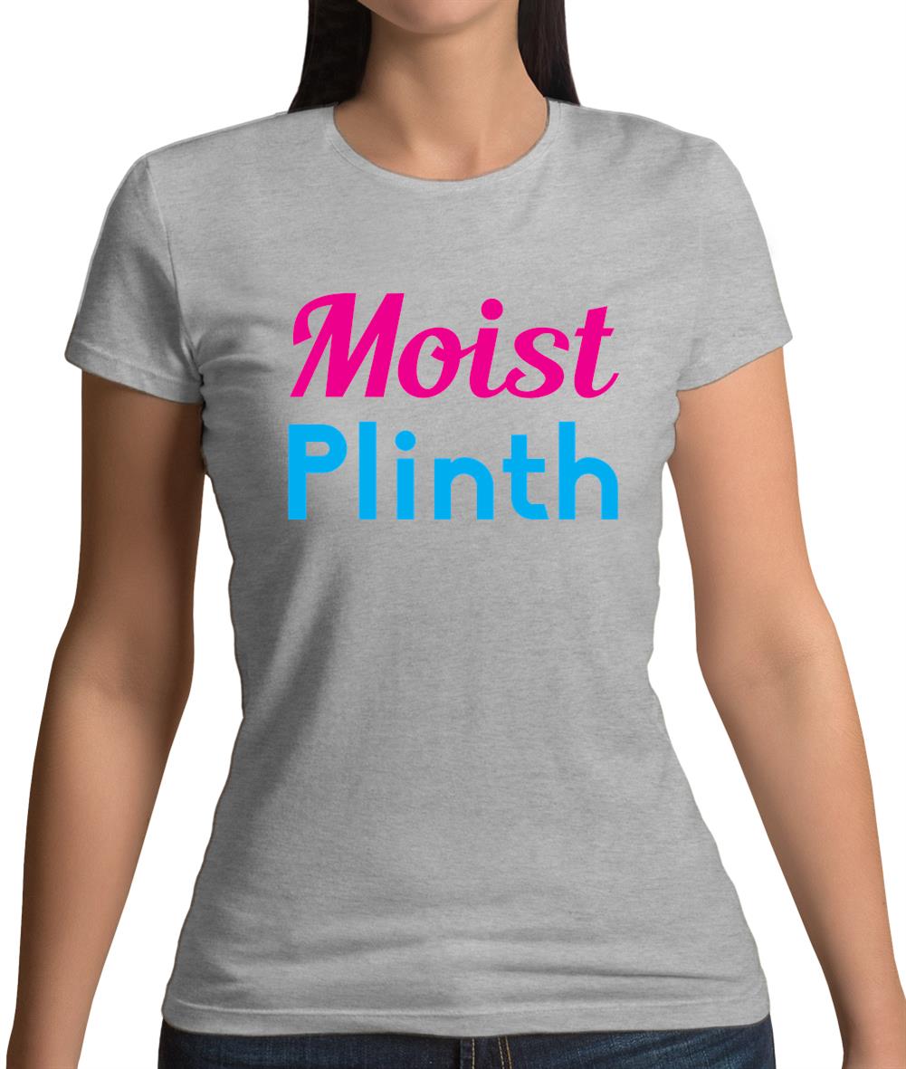 Moist Plinth Womens T-Shirt