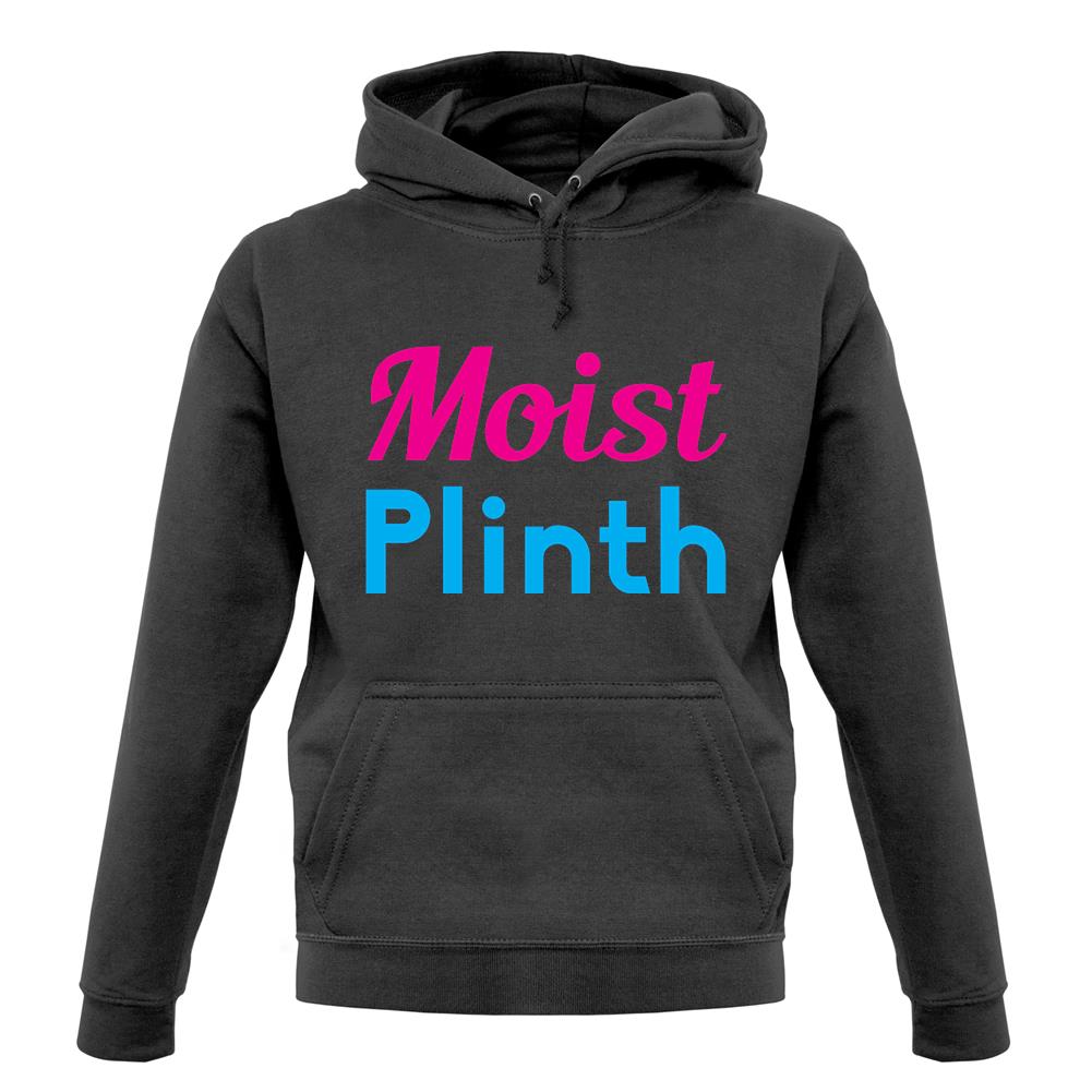 Moist Plinth unisex hoodie