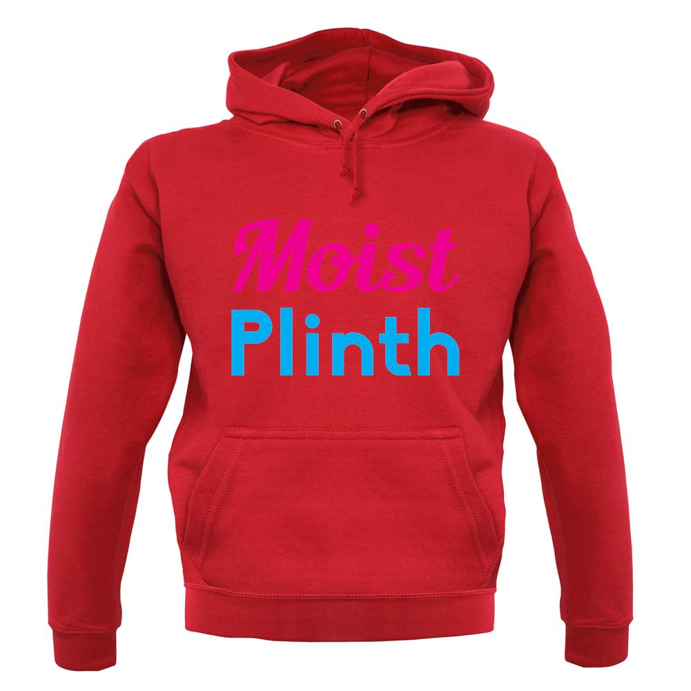 Moist Plinth unisex hoodie