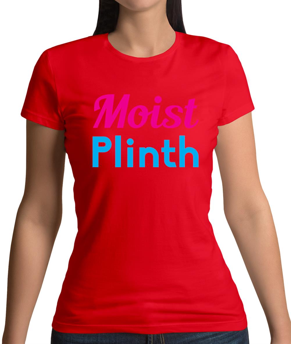 Moist Plinth Womens T-Shirt