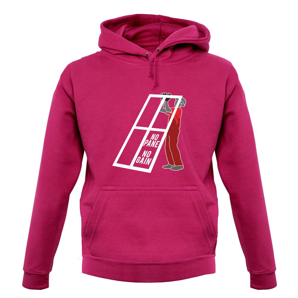 No Pane No Gain unisex hoodie