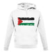 Palestine Grunge Style Flag unisex hoodie