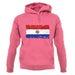 Paraguay Grunge Style Flag unisex hoodie