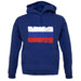 Russia Grunge Style Flag unisex hoodie