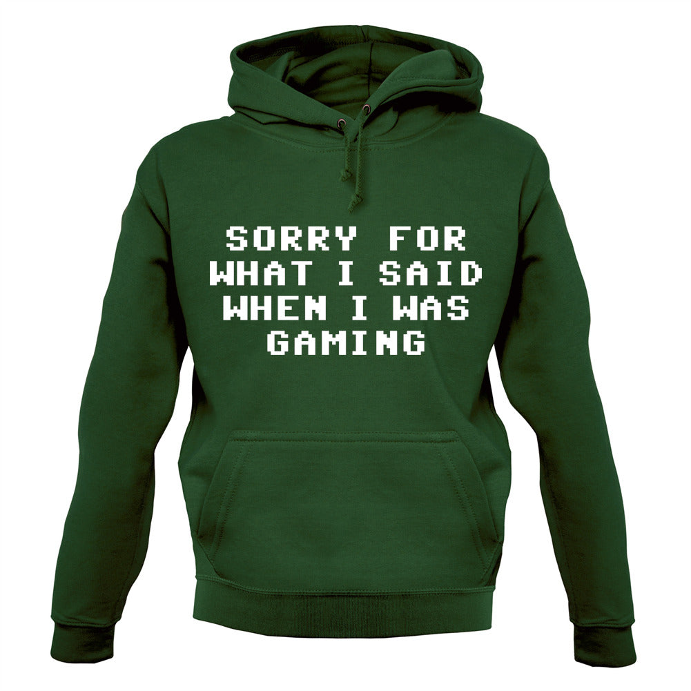 Sorry For What I Said When I Was Gaming Unisex Hoodie