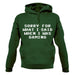 Sorry For What I Said When I Was Gaming Unisex Hoodie