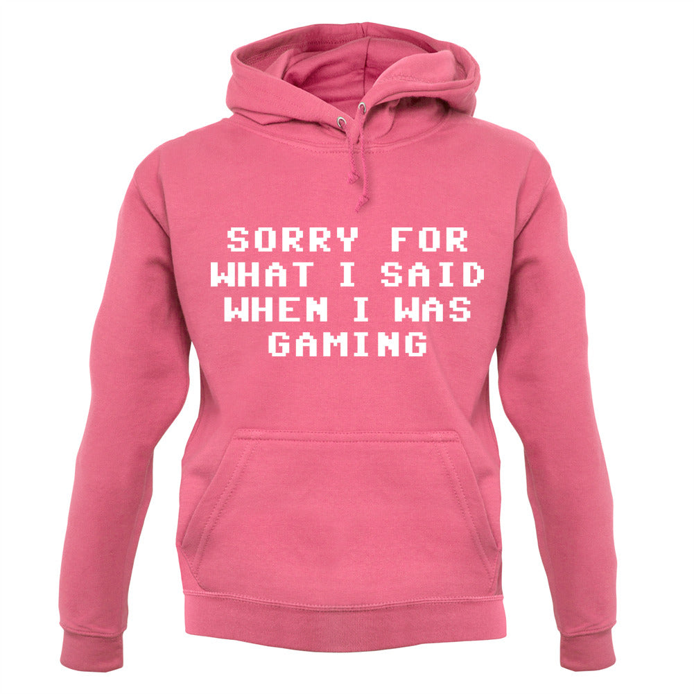 Sorry For What I Said When I Was Gaming Unisex Hoodie