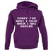 Sorry For What I Said When I Was Gaming Unisex Hoodie