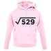 Square Root Birthday 23 unisex hoodie