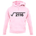 Square Root Birthday 46 unisex hoodie