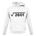 Square Root Birthday 51 unisex hoodie