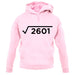 Square Root Birthday 51 unisex hoodie