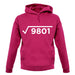Square Root Birthday 99 unisex hoodie