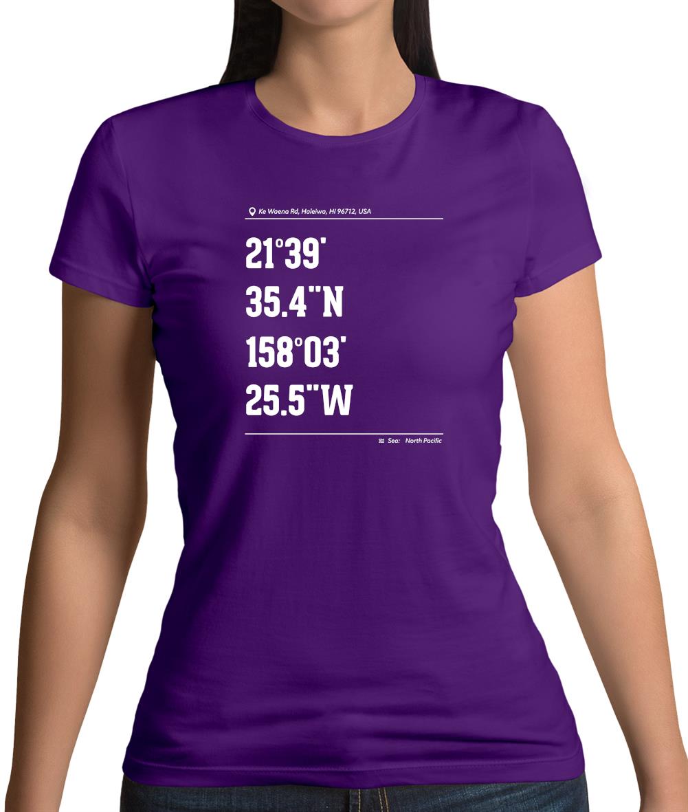 Surfing Coordinates Logcabins Womens T-Shirt