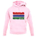 The Gambia Grunge Style Flag unisex hoodie