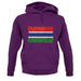 The Gambia Grunge Style Flag unisex hoodie