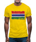 The Gambia Grunge Style Flag Mens T-Shirt