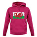 Wales Grunge Style Flag unisex hoodie