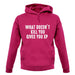 What Doesnâ€™t kill You, Give You XP Unisex Hoodie