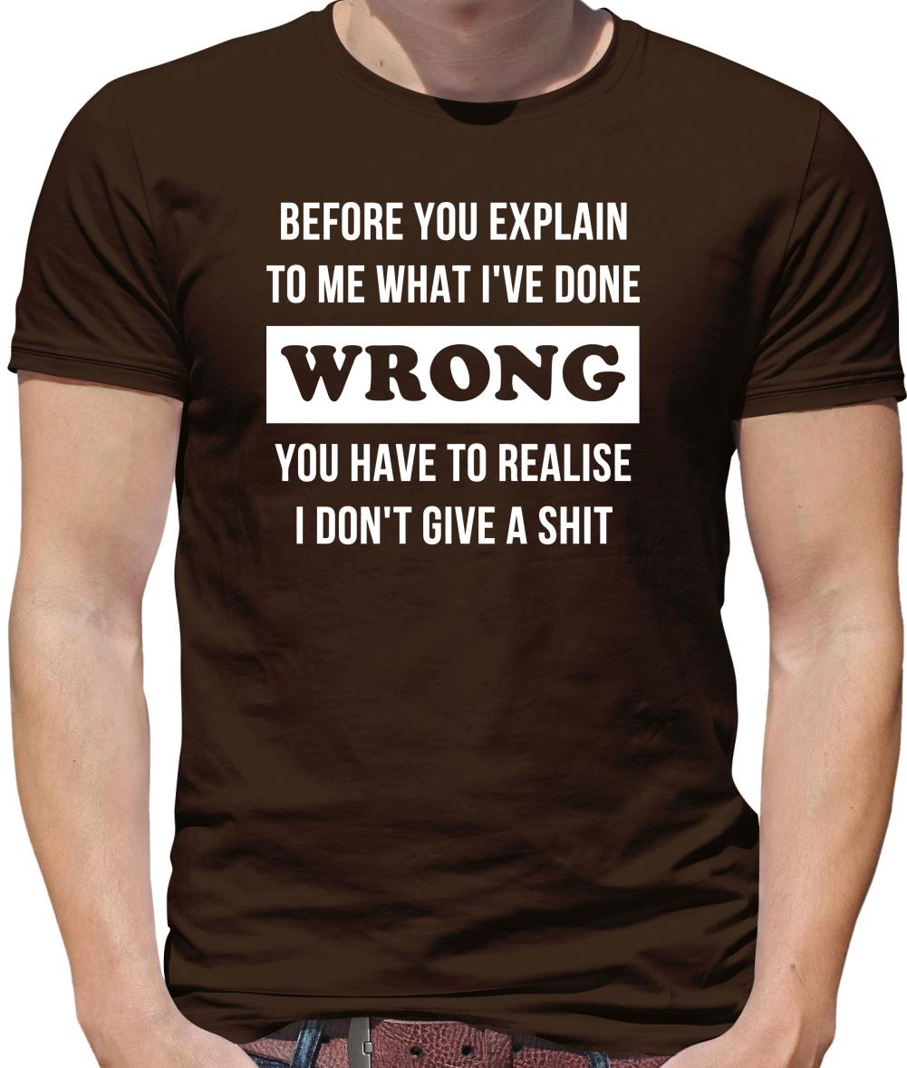 Before you explain to me what i've done wrong, you have to realise I don't give a shit Mens T-Shirt