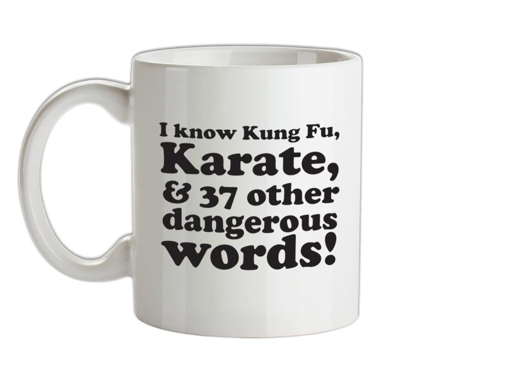I know Kung Fu, Karate, & 37 other dangerous words! Ceramic Mug